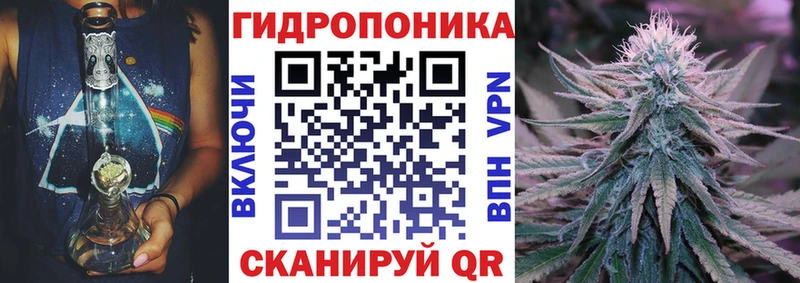Конопля Bruce Banner  Купить  Железноводск 